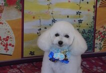 ♥本年もありがとうございました♥の画像