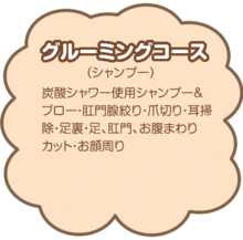グルーミングコース