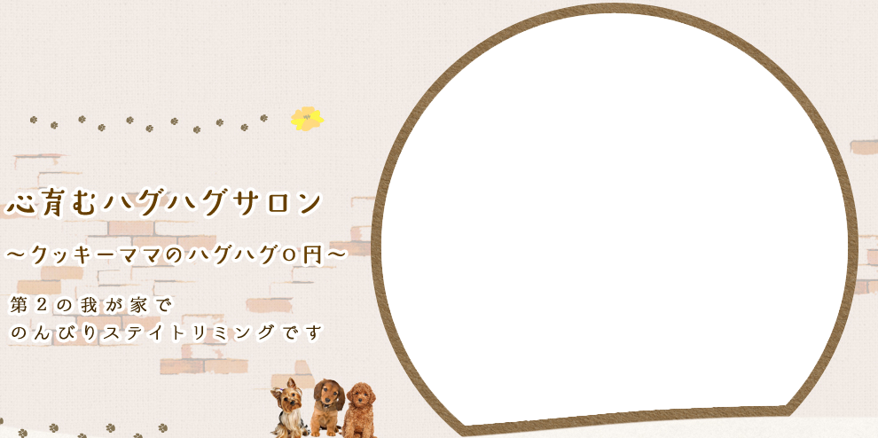 人にやさしく、ワンコにはもっとやさしくワンコに合わせた負担の少ないグルーミングクッキーでは色々なこだわりを持っています