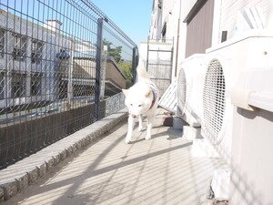 20151018103835.JPG