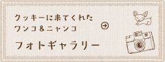 クッキーに来てくれた ワンコ＆ニャンコ フォトギャラリー