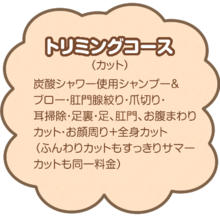 トリミングコース